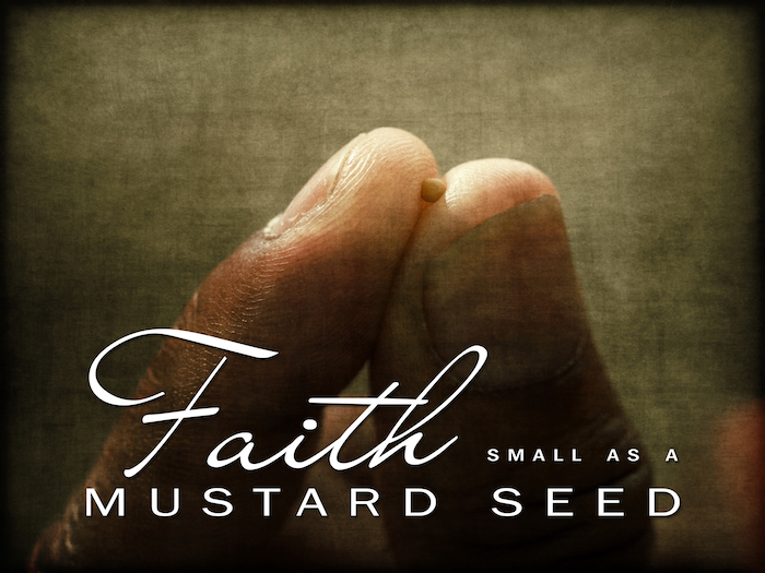 MustardSeedFaith Path MEGAzine